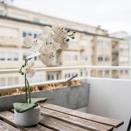 Apartment Urban Retreat With Balcony, Bright And Porto